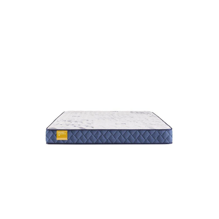 Erie Foam Mattress - Atchison Furniture Company (Atchison, KS)