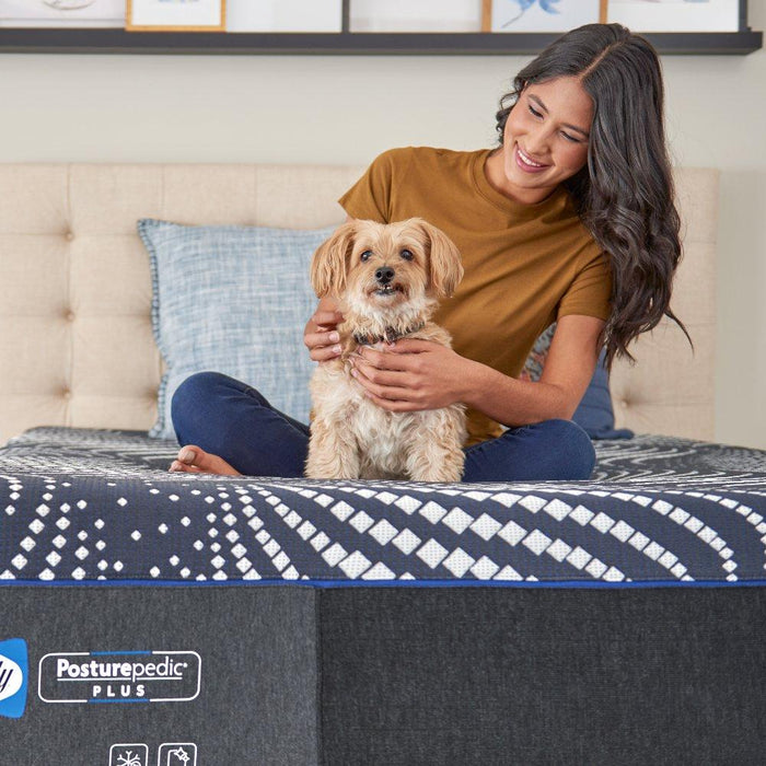 High Point Foam Mattress - Atchison Furniture Company (Atchison, KS)