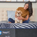 High Point Foam Mattress - Atchison Furniture Company (Atchison, KS)