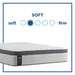 Diggens Innerspring Mattress - Atchison Furniture Company (Atchison, KS)