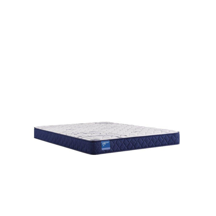 Resting Manor Foam Mattress - Atchison Furniture Company (Atchison, KS)