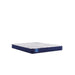 Resting Manor Foam Mattress - Atchison Furniture Company (Atchison, KS)
