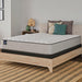 Spring Bloom Innerspring Mattress - Atchison Furniture Company (Atchison, KS)