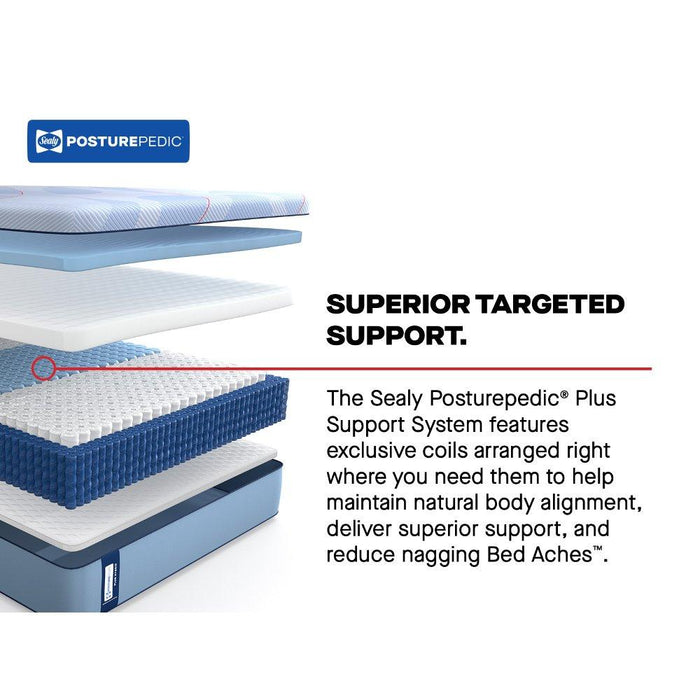 Equus Hybrid Mattress - Atchison Furniture Company (Atchison, KS)