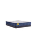 Palace Park Innerspring Mattress - Atchison Furniture Company (Atchison, KS)