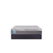 Delacroix Hybrid Mattress - Atchison Furniture Company (Atchison, KS)