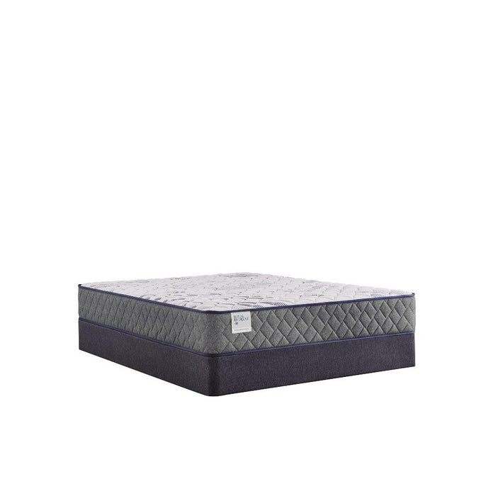 Provision Innerspring Mattress - Atchison Furniture Company (Atchison, KS)