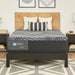 Albany Foam Mattress - Atchison Furniture Company (Atchison, KS)
