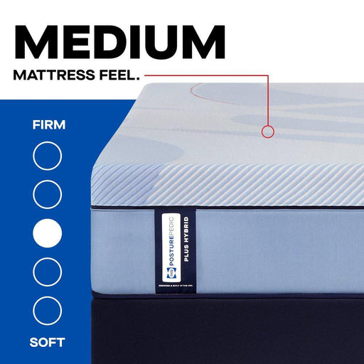 Equus Hybrid Mattress - Atchison Furniture Company (Atchison, KS)