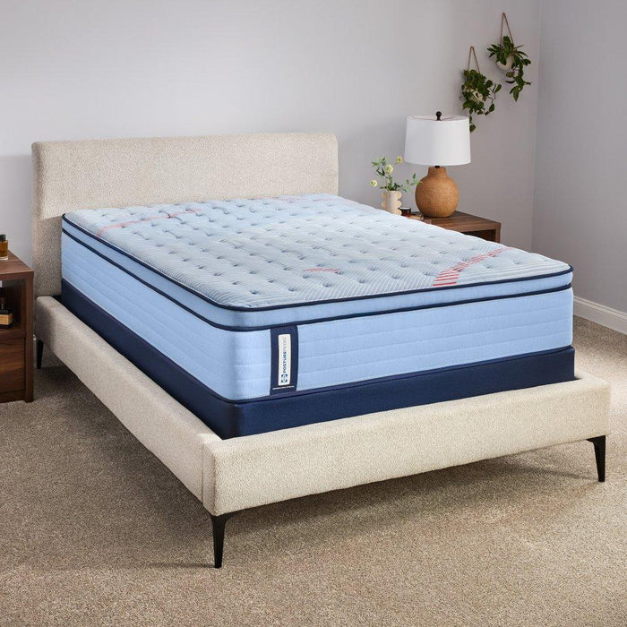 Dudley Spring Mattress - Atchison Furniture Company (Atchison, KS)