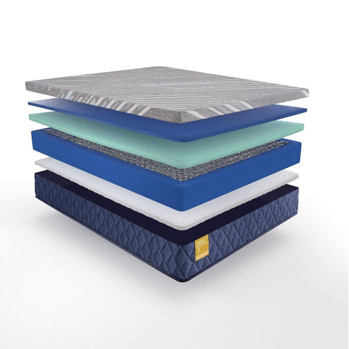 Royal Park Hybid Hybrid Mattress - Atchison Furniture Company (Atchison, KS)