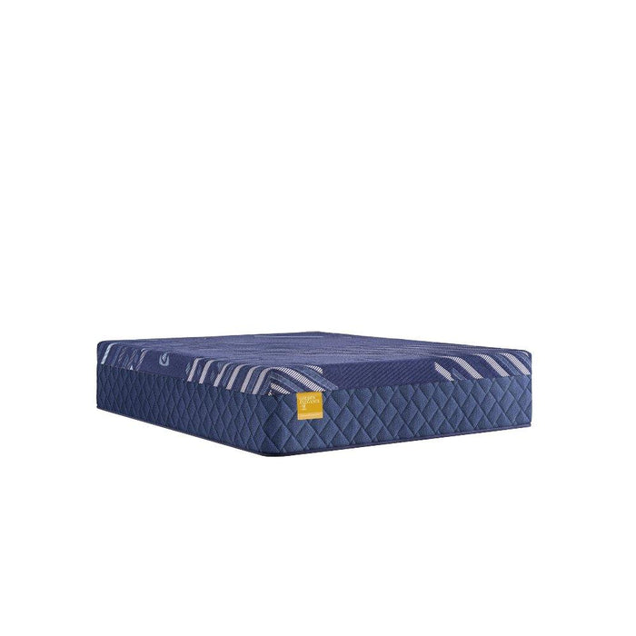 Forsyth Park Hybrid Mattress - Atchison Furniture Company (Atchison, KS)