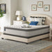 Spring Bloom EPT Innerspring Mattress - Atchison Furniture Company (Atchison, KS)