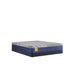 Royal Park Hybrid Mattress - Atchison Furniture Company (Atchison, KS)