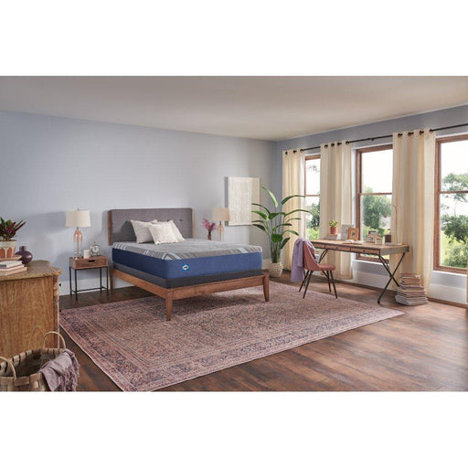 Royal Cove Foam Mattress - Atchison Furniture Company (Atchison, KS)