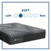 Albany Foam Mattress - Atchison Furniture Company (Atchison, KS)