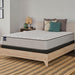 Leahy Innerspring Mattress - Atchison Furniture Company (Atchison, KS)