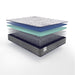 San Diego Innerspring Mattress - Atchison Furniture Company (Atchison, KS)