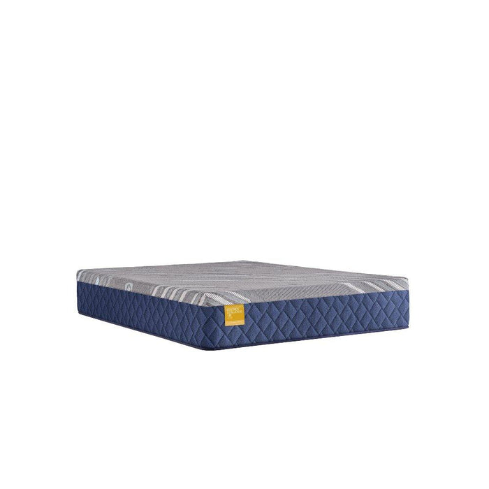 Park Plaza Hybrid Mattress - Atchison Furniture Company (Atchison, KS)