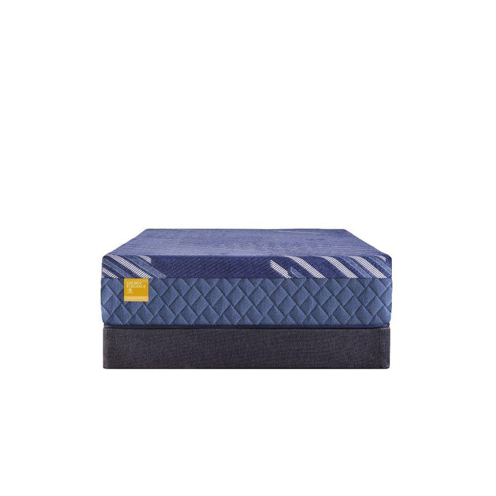 Forsyth Park Hybrid Mattress - Atchison Furniture Company (Atchison, KS)