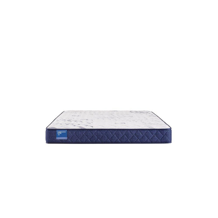 Resting Manor Foam Mattress - Atchison Furniture Company (Atchison, KS)