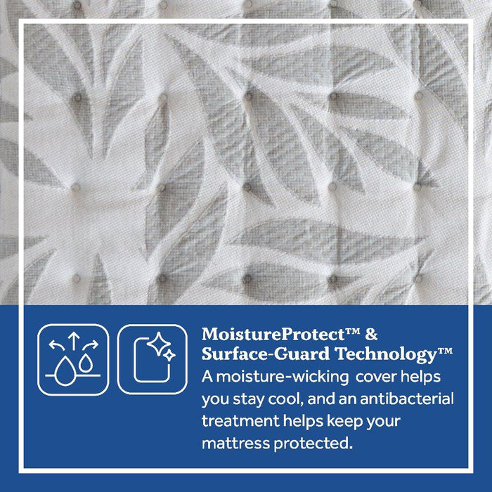 Silver Pine Innerspring Mattress - Atchison Furniture Company (Atchison, KS)