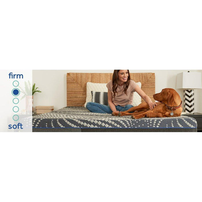Albany Foam Mattress - Atchison Furniture Company (Atchison, KS)
