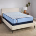 Fayette Spring Mattress - Atchison Furniture Company (Atchison, KS)