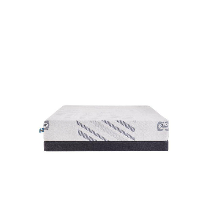 Palace Park Foam Mattress - Atchison Furniture Company (Atchison, KS)
