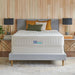 Sealy® Naturals™ Hybrid Mattress - Atchison Furniture Company (Atchison, KS)