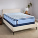 Fayette Spring Mattress - Atchison Furniture Company (Atchison, KS)