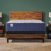 Garden Hills Spring Mattress - Atchison Furniture Company (Atchison, KS)