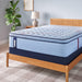 Equus Spring Mattress - Atchison Furniture Company (Atchison, KS)