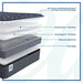 Warner Spring Mattress - Atchison Furniture Company (Atchison, KS)