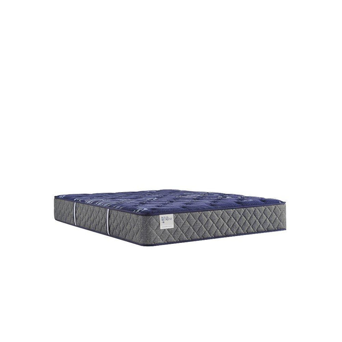 Westerfield Innerspring Mattress - Atchison Furniture Company (Atchison, KS)