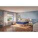 Cathedral Cove Foam Mattress - Atchison Furniture Company (Atchison, KS)