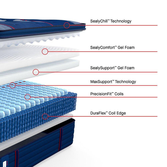 Albany II Spring Mattress - Atchison Furniture Company (Atchison, KS)