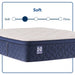 Dream Waves Spring Mattress - Atchison Furniture Company (Atchison, KS)