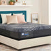 Brenham Hybrid Mattress - Atchison Furniture Company (Atchison, KS)