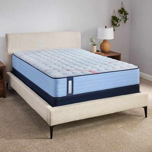 Dudley Spring Mattress - Atchison Furniture Company (Atchison, KS)