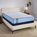 Fayette Spring Mattress - Atchison Furniture Company (Atchison, KS)