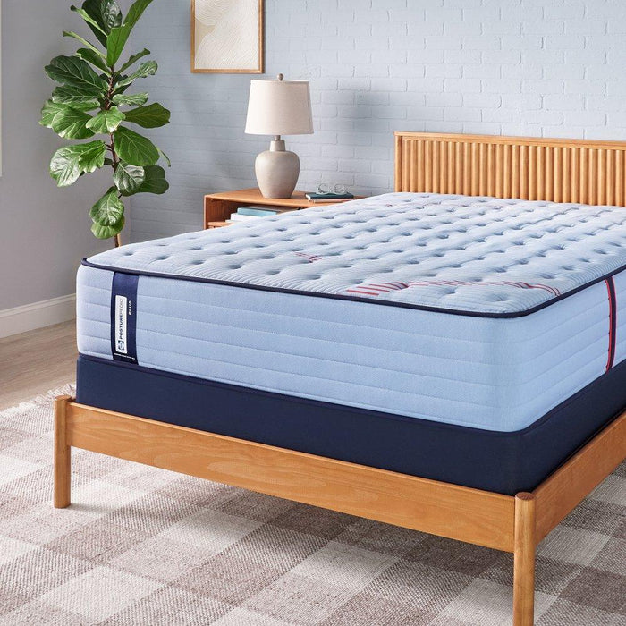 Equus Spring Mattress - Atchison Furniture Company (Atchison, KS)