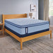 Jace Spring Mattress - Atchison Furniture Company (Atchison, KS)