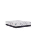 Palace Park Foam Mattress - Atchison Furniture Company (Atchison, KS)