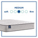 Spring Bloom Innerspring Mattress - Atchison Furniture Company (Atchison, KS)