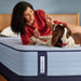 Medina II Spring Mattress - Atchison Furniture Company (Atchison, KS)