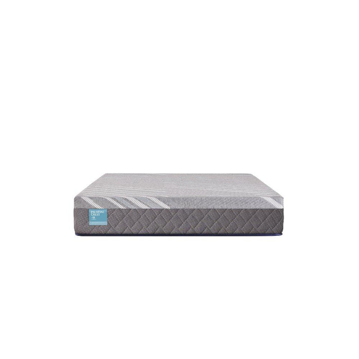 Delacroix Hybrid Mattress - Atchison Furniture Company (Atchison, KS)