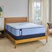 Newland Spring Mattress - Atchison Furniture Company (Atchison, KS)