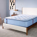 Hartsgrove Spring Mattress - Atchison Furniture Company (Atchison, KS)