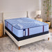 Sonterra Spring Mattress - Atchison Furniture Company (Atchison, KS)